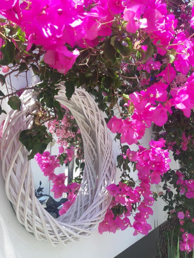 Doron Hotel Delfini Naxos City المظهر الخارجي الصورة
