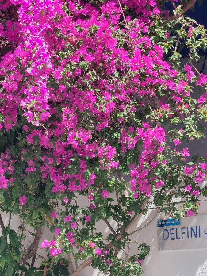Doron Hotel Delfini Naxos City المظهر الخارجي الصورة