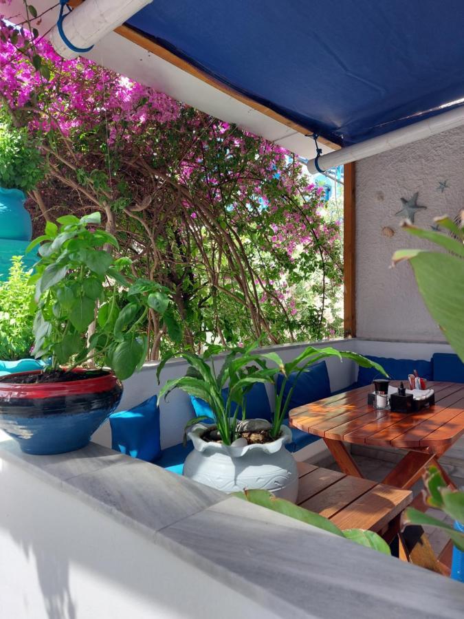 Doron Hotel Delfini Naxos City المظهر الخارجي الصورة