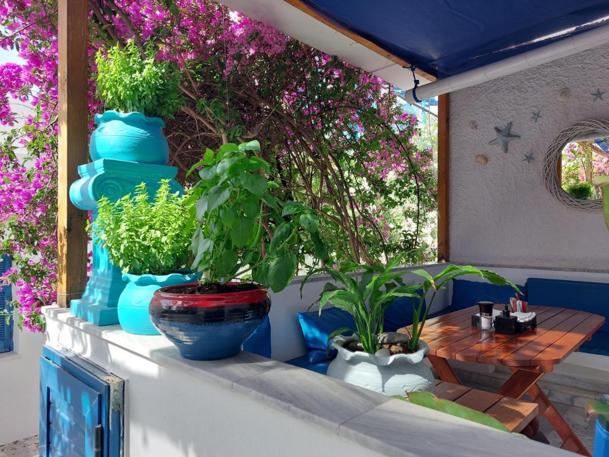 Doron Hotel Delfini Naxos City المظهر الخارجي الصورة