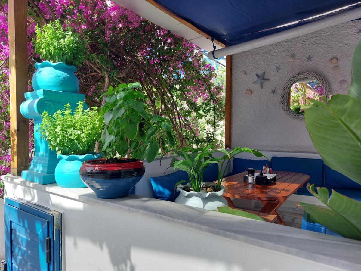 Doron Hotel Delfini Naxos City المظهر الخارجي الصورة
