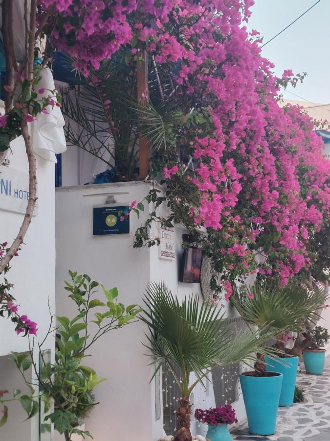 Doron Hotel Delfini Naxos City المظهر الخارجي الصورة