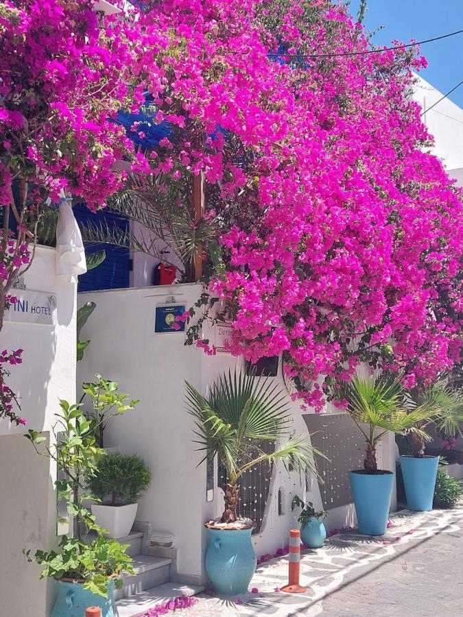Doron Hotel Delfini Naxos City المظهر الخارجي الصورة