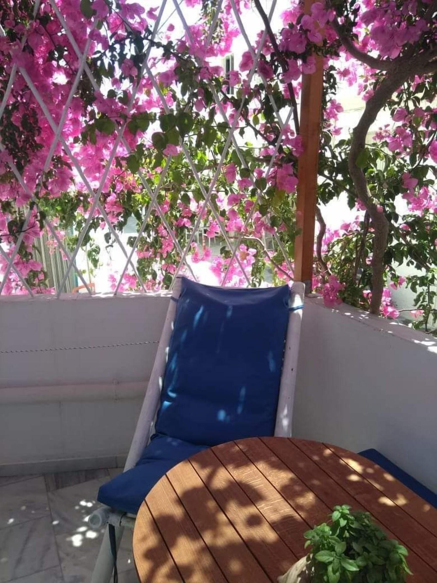 Doron Hotel Delfini Naxos City المظهر الخارجي الصورة