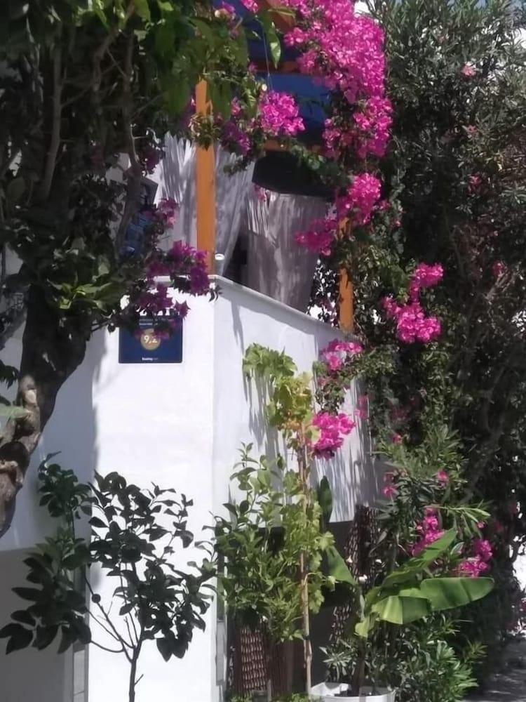 Doron Hotel Delfini Naxos City المظهر الخارجي الصورة