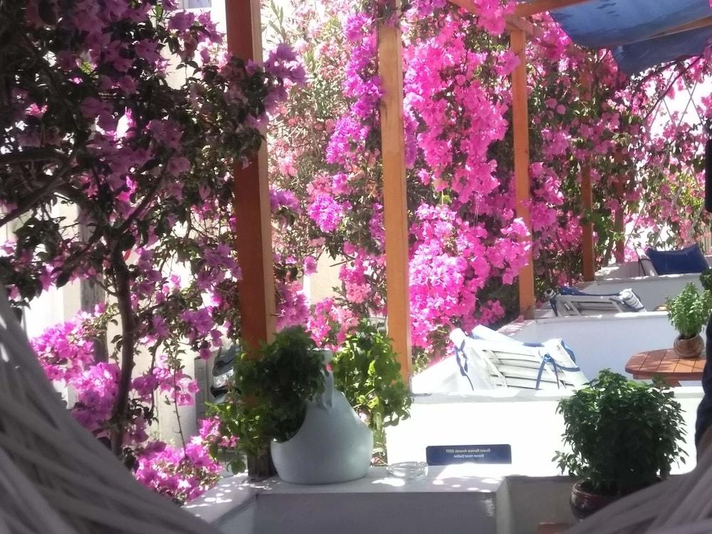 Doron Hotel Delfini Naxos City المظهر الخارجي الصورة