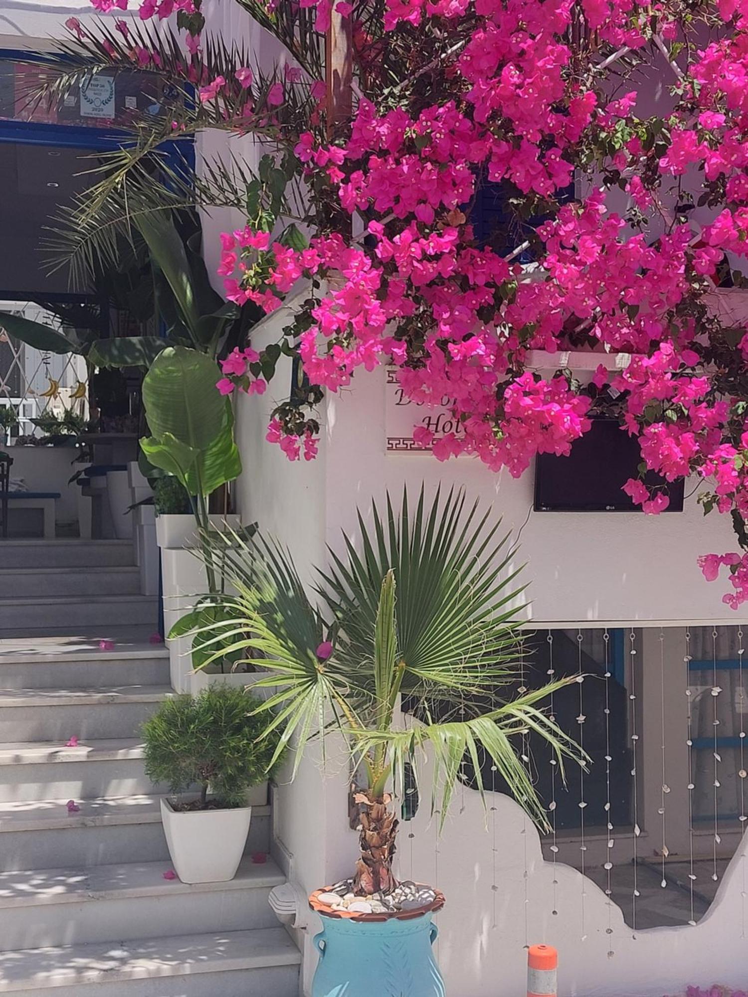 Doron Hotel Delfini Naxos City المظهر الخارجي الصورة