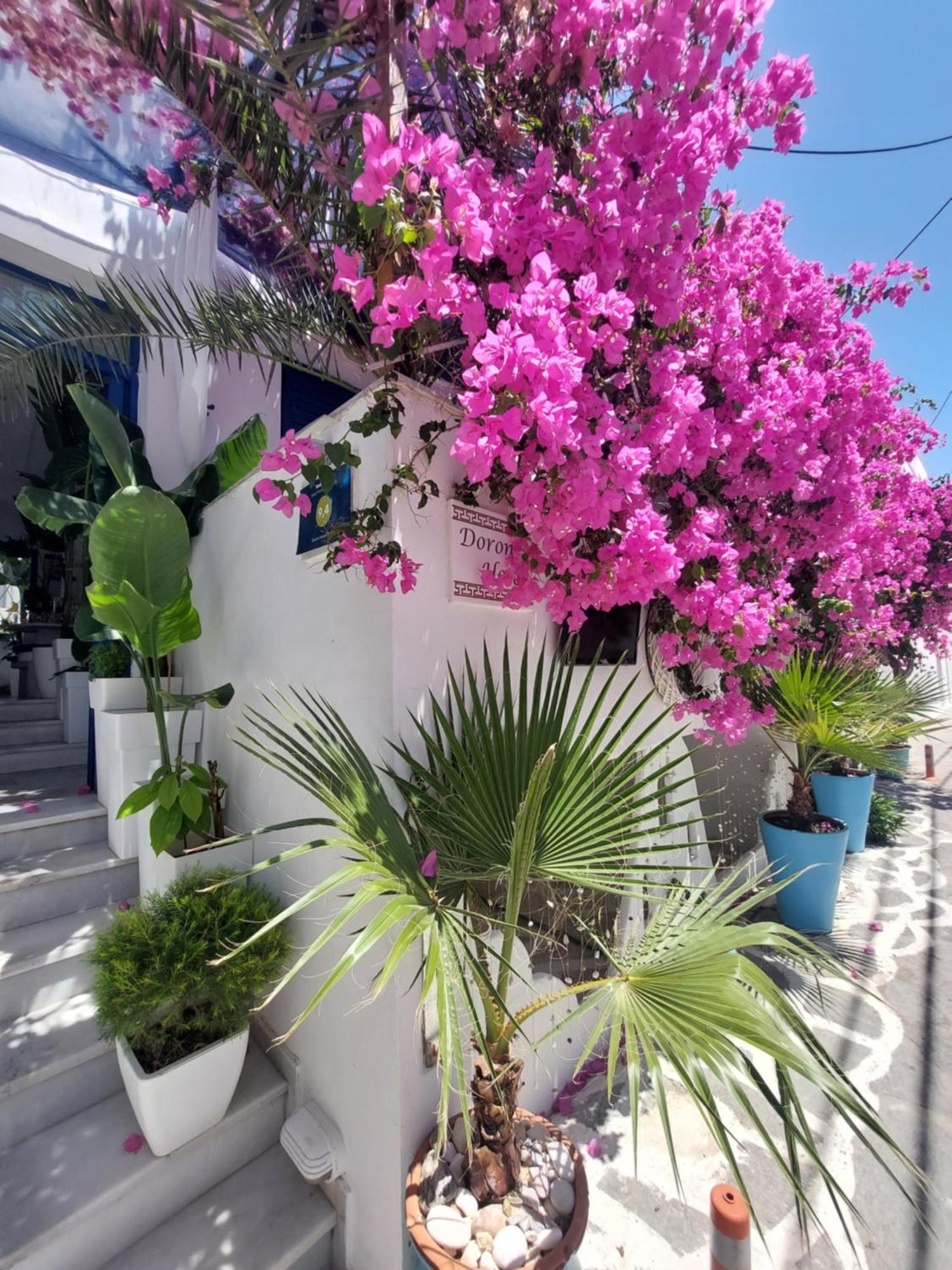 Doron Hotel Delfini Naxos City المظهر الخارجي الصورة