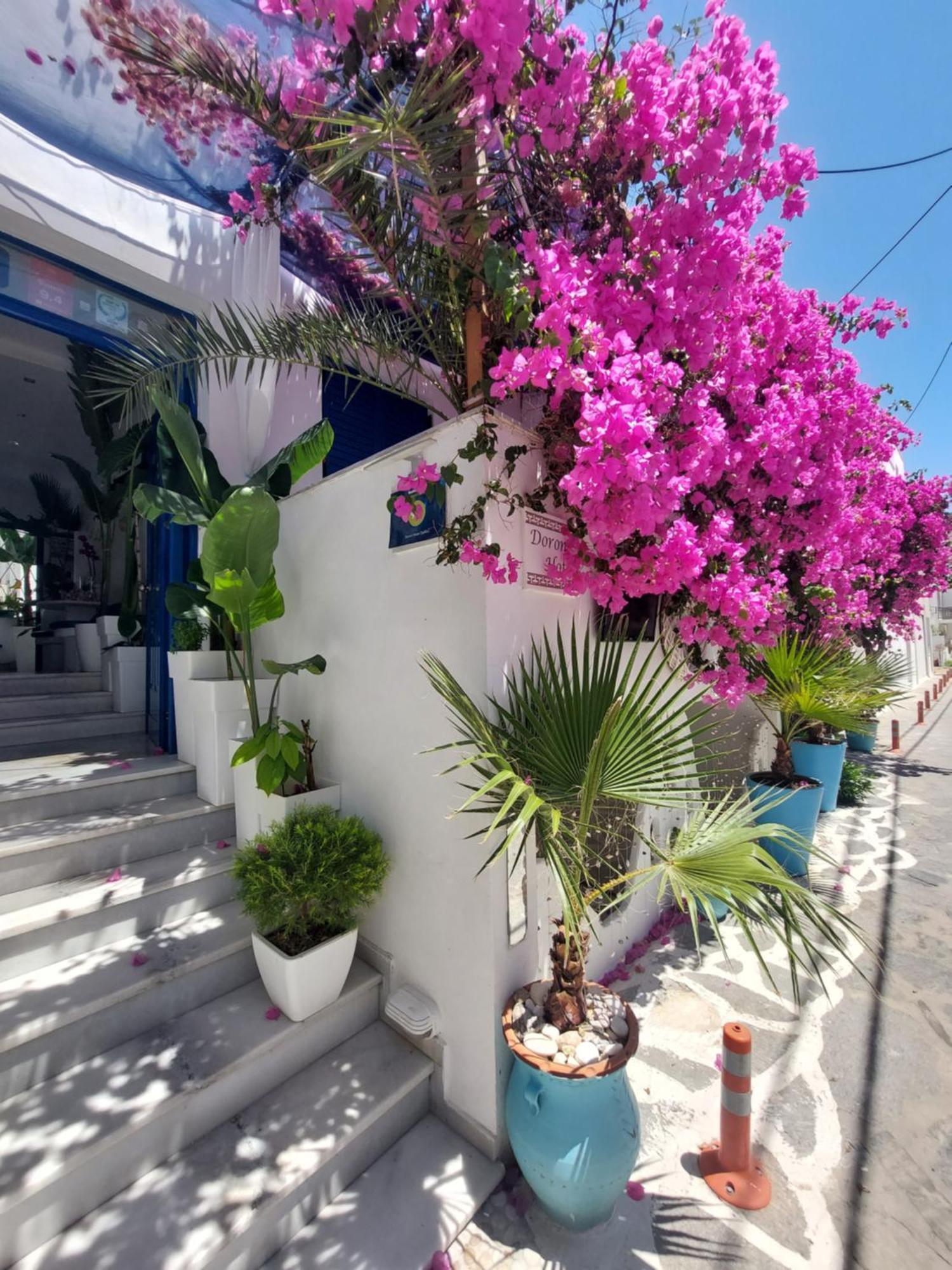 Doron Hotel Delfini Naxos City المظهر الخارجي الصورة