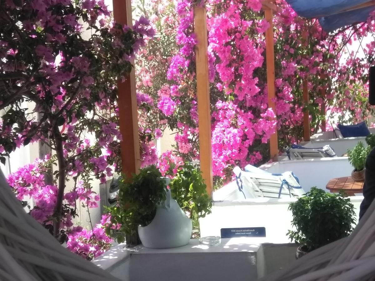 Doron Hotel Delfini Naxos City المظهر الخارجي الصورة