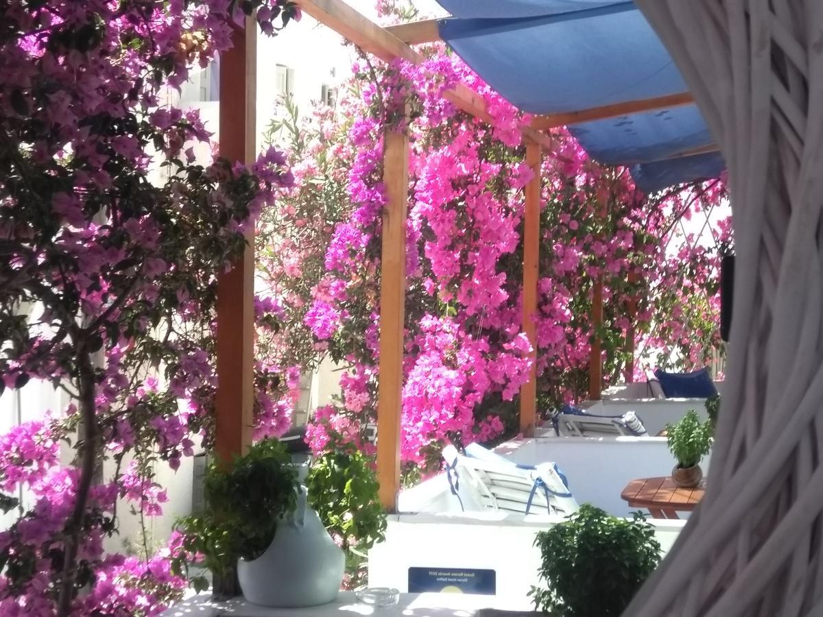 Doron Hotel Delfini Naxos City المظهر الخارجي الصورة
