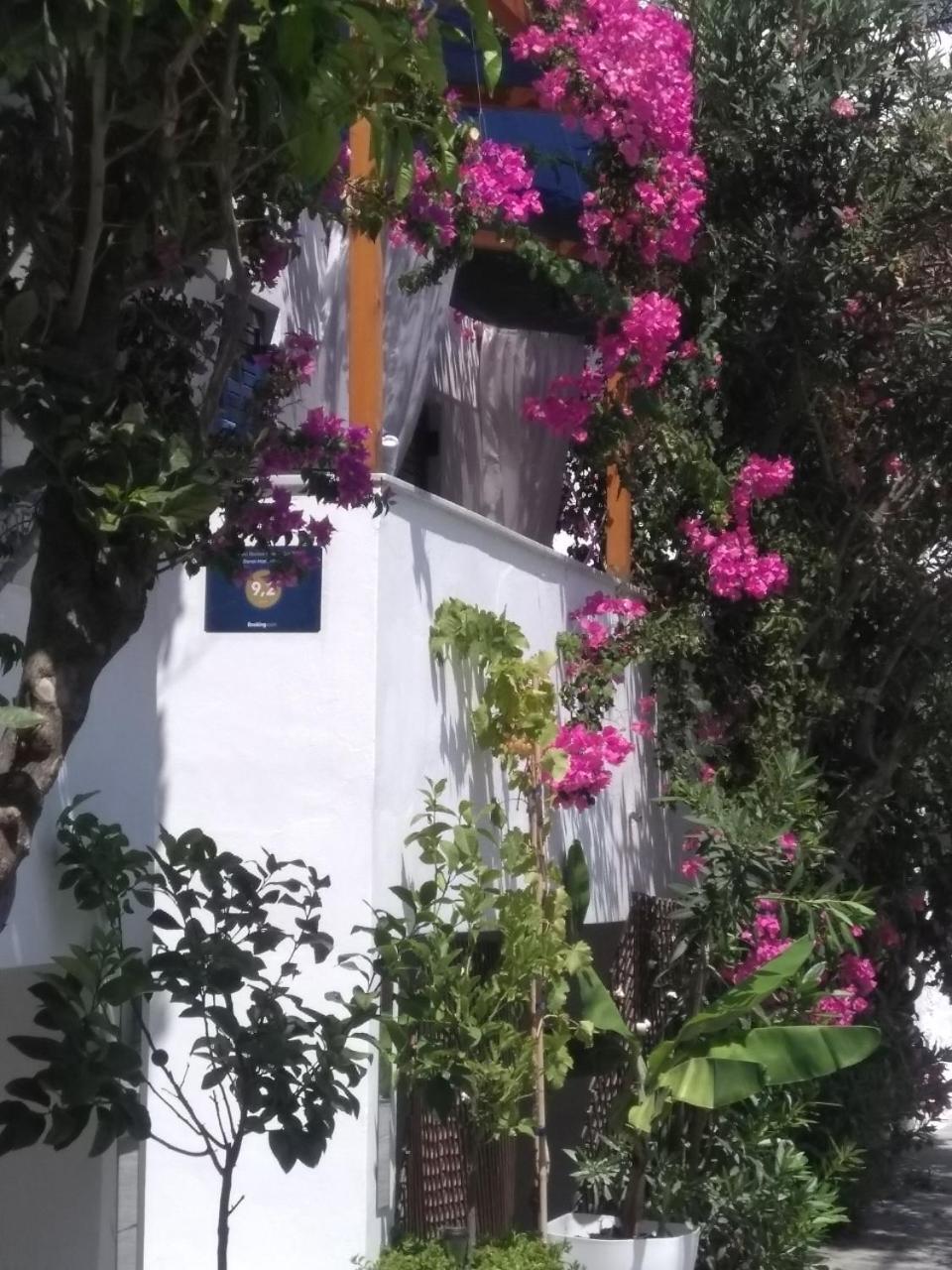 Doron Hotel Delfini Naxos City المظهر الخارجي الصورة